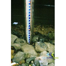 november 1985 F00001691